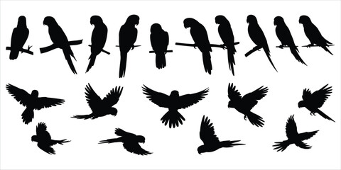 Collection of Silhouetted Parrots Perched and Flying on White Background bird birds © rayhan039