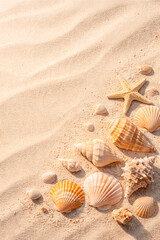 Golden seashells scattered on textured sand. A single starfish rests amongst the seashells, kissed by warm sunlight