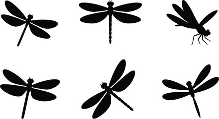 Six Black Dragonfly Silhouettes in Various Poses Keywords: dragonfly, silhouette, black, white background, insect, flying, wings © rayhan039