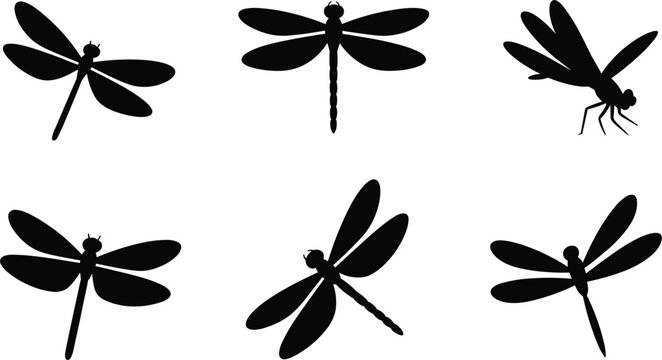 Six Black Dragonfly Silhouettes in Various Poses Keywords: dragonfly, silhouette, black, white background, insect, flying, wings