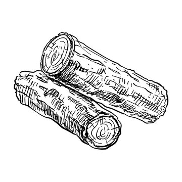 Sandalwood Sketch Images – Browse 360 Stock Photos, Vectors, and