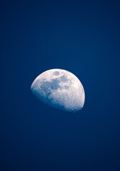 Obraz premium moon