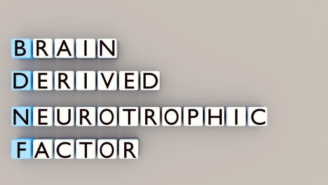 Rows of white 3d letter tiles spell out BRAIN-DERIVED NEUROTROPHIC FACTOR. The first letter of each word is highlighted, forming the acronym BDNF.
