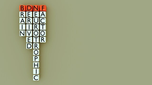 Rows of white 3d letter tiles spell out BRAIN-DERIVED NEUROTROPHIC FACTOR. The first letter of each word is highlighted, forming the acronym BDNF.