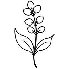 Obraz premium black and white flower