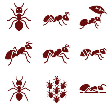 red ant icons in various poses on white background