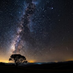 Milky Way over Silhouette Tree - A Night Sky Wonder.