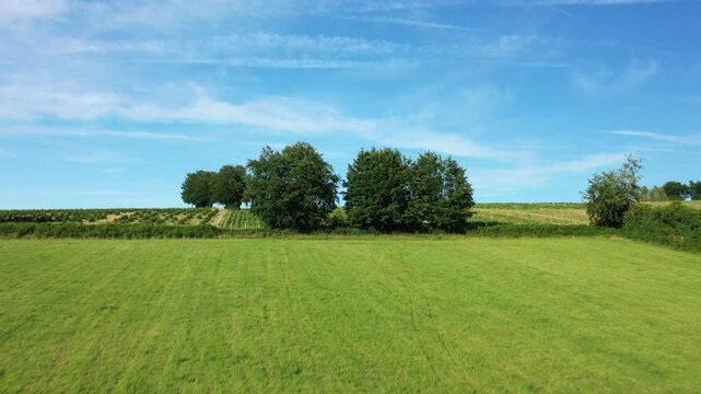 Scenic rural landscape with green fields, trees, and blue sky in the Morvan region of France. Peaceful countryside view ideal for nature and agriculture themes.