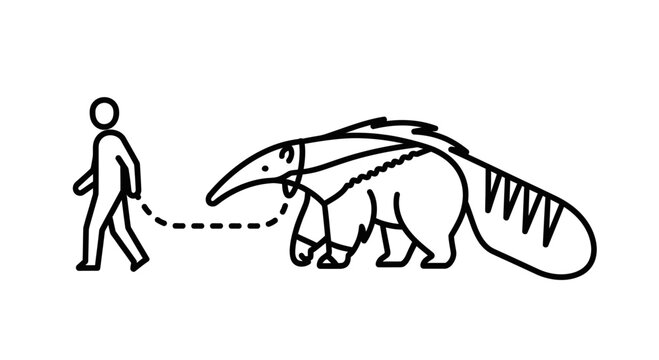 Person Walking Anteater on Leash, Unusual Pet, Funny Animal Companion