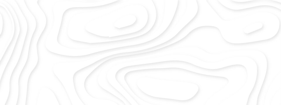 Dynamic topographic design elements forming soft flowing contours. white paper cut abstract layers. contemporary abstract shapes forming seamless layered topographic designs.