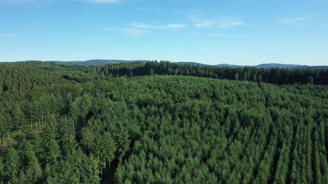 Aerial view of dense green forest with rolling hills under a clear blue sky in the Morvan countryside, France. Tranquil summer landscape ideal for nature and travel concepts.