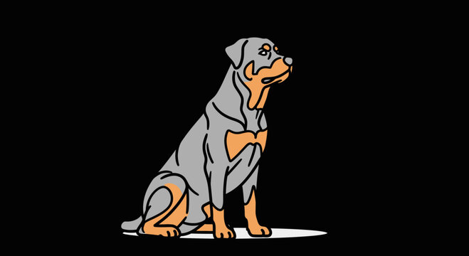 Rottweiler dog sitting attentively, vector illustration, black background