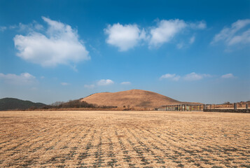 주차장에서 바라본 새별오름