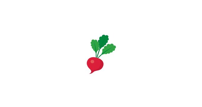 Radish Vegetable Root Crunchy Animation