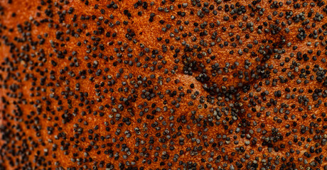 Mohnkrümel © blende11.photo