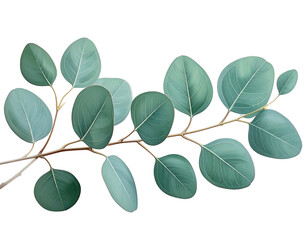 Obraz premium A digital illustration of eucalyptus leaves on a brown branch against black