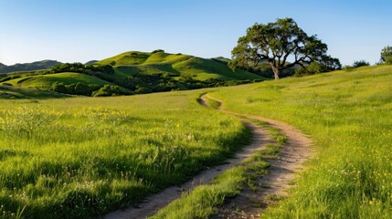 Scenic Pathway Through Lush Green Hills Under Clear Blue Sky in Vibrant Nature Landscape