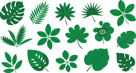 Naklejka premium Assortment of tropical leaves, jungle foliage, botanical elements, exotic plant patterns