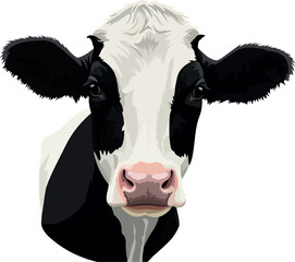 Black and White Holstein Cow Portrait Flat Design Isolated on White