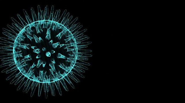 Holographic Virus Concept 3D Loop Animation

A seamless looping 3D animation of a holographic virus particle on a black background. High-quality visualization for medical, scientific, or futuristic te