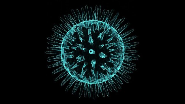 Holographic Virus Concept 3D Loop Animation

A seamless looping 3D animation of a holographic virus particle on a black background. High-quality visualization for medical, scientific, or futuristic te