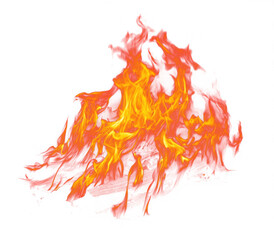 Vibrant Fire and Flames against a striking blue backdrop, showcasing intense Burning Heat and raw Energy. A dynamic and abstract representation of combustion.