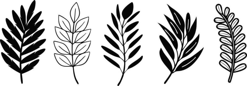 Collection of diverse leaf outlines and silhouettes for tropical summer themes and sustainable logo design