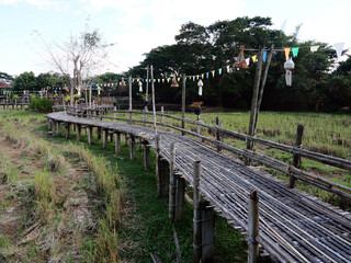 Walking suspense bridge made of dry bamboo
