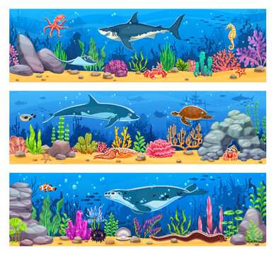Underwater landscape game background banners with sea animals, seaweed and corals. Vector underwater world scene with ocean sea sand bottom landscape, cartoon fish school, shark, dolphin and crab