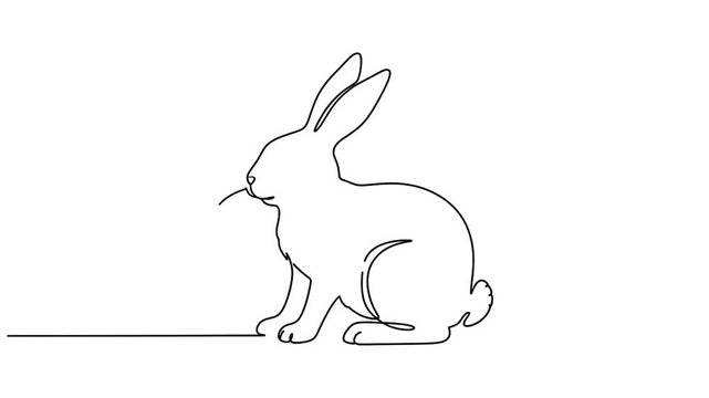 Continuous line drawing of a cute rabbit sitting on a white background