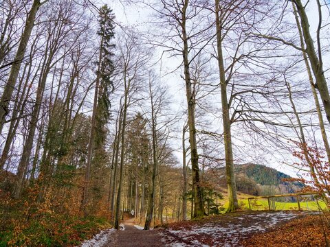 Bavarian landscape. Passage between the Freudenberg forest and the Schlierbach bridge, marking the end of the circular path around Lake Schliersee
