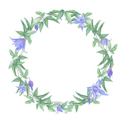 Obraz premium A chaplet of clematis flowers. Hand-painted watercolor illustration, isolated on a white background. Delicate purple flowers, buds with green leaves, are gracefully intertwined. Suitable for printing
