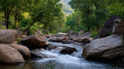 Tranquil Mountain Stream Flowing Through Lush Green Forest Surrounded by Large Rocks and Vibrant Nature Beauty