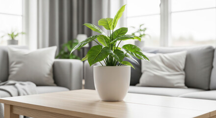 Fototapeta premium Indoor living room with modern furniture, featuring a potted plant on a wooden table and soft cushions on a gray sofa