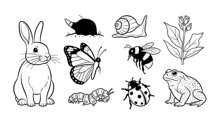 Collection of nature animals and insects, line art. © gacor20