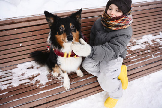 Child in warm clothes petting dog on snowy bench outdoors in winter