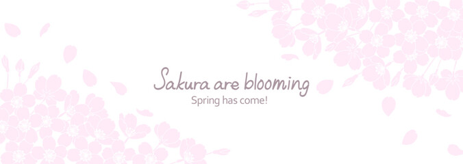 白地に描いた繊細な桜の花のフレームイラスト