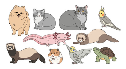 Fototapeta premium Cute illustration of various pets and animals