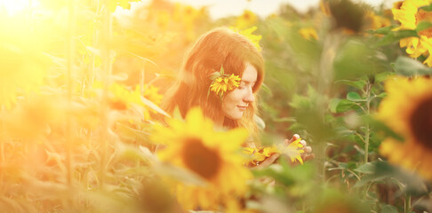 Redhead with freckles. Beautiful model in the sunset. Beauty girl. A woman stands in a field of sunflowers, holding a yellow flower with gentle hands. © Miramiska