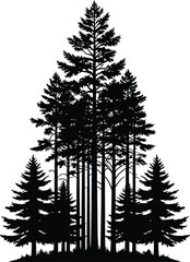 Obraz premium Dense Black Silhouette of an Evergreen Forest Landscape