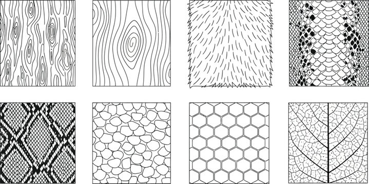Collection of abstract line art patterns including wood grain animal skin and leaf veins for graphic design backgrounds and textures