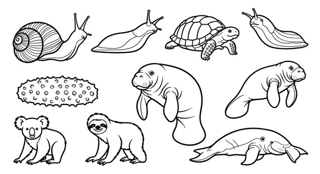 Cute Animal Collection Line Art Illustration for Coloring Book