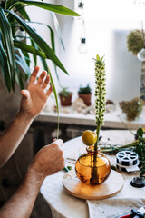 Hands arrange botanical elements in amber glass vase on wooden base. Men in floristry, modern masculine hobbies, artisan identity.