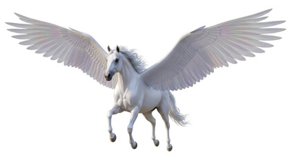 Isolated Pegasus in flight, mythical winged horse, beautiful animal of legend, creature © Corman