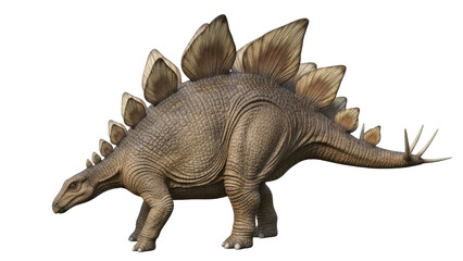 Isolated Stegosaurus dinosaur animal with thick plates and sharp spikes is on display © Corman