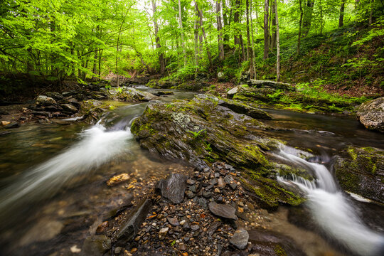 Putney Brook flows through a rocky, tree lined stream bed on a r