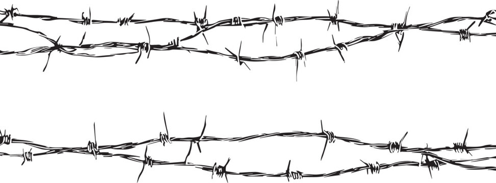 Black barbed wire strands with sharp points on white background