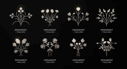 Elegant floral ornaments and botanical emblems on a dark background