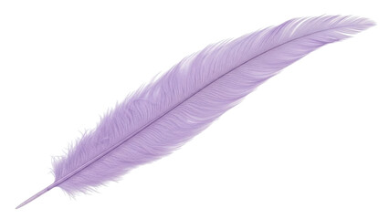 Isolated, delicate purple feather floating softly for spiritual or design themes. Full shot. © Vetle