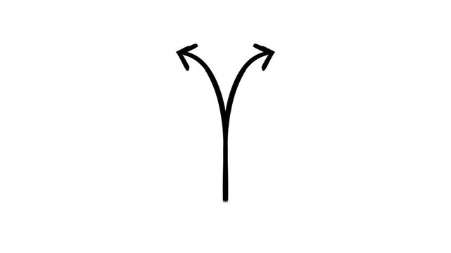 Two choices arrow hand-drawn sketch animation. Split into left and right curved paths. Branching forked. Animated doodle direction. Scribble pointer. Ink freehand symbol 4K video on transparent